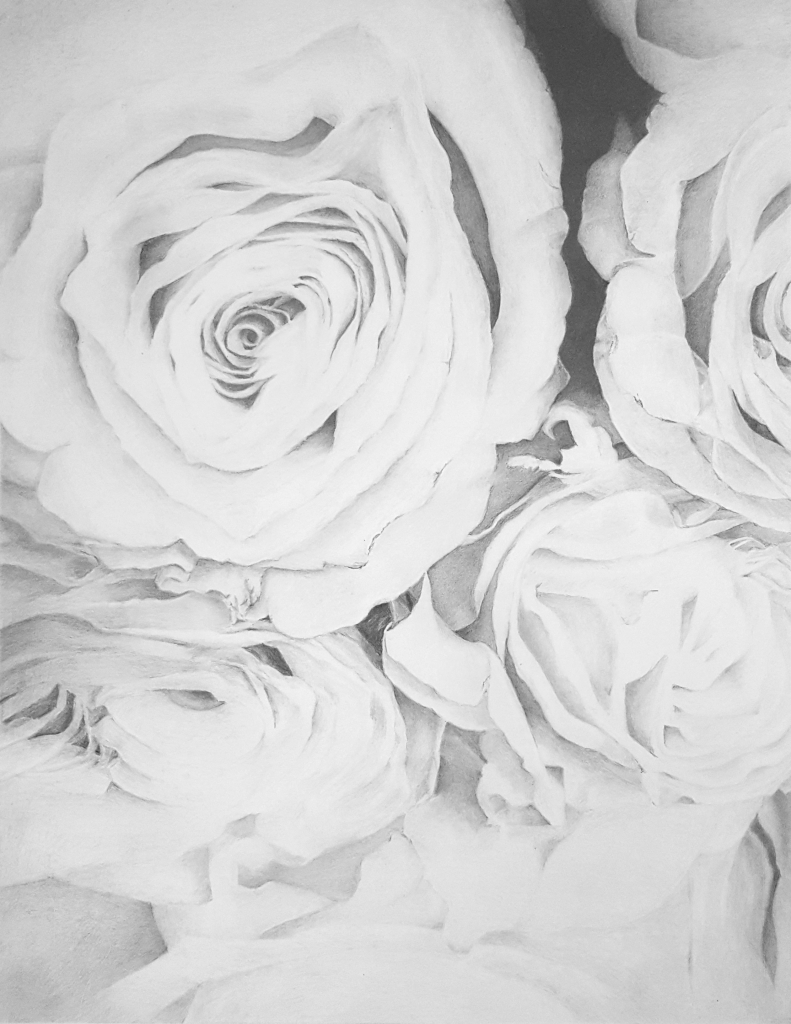 Roses, Roses, Roses