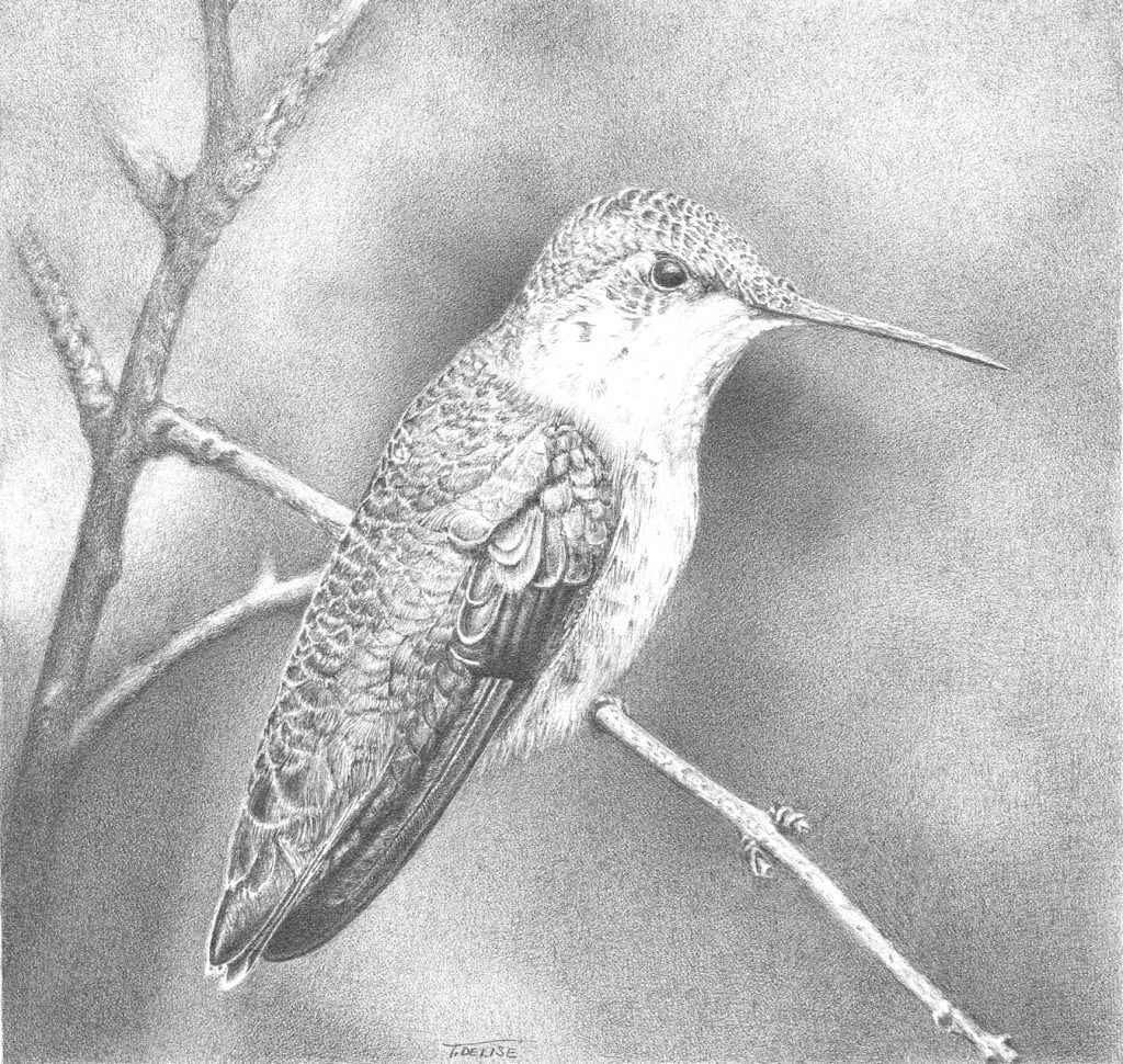 Visitor