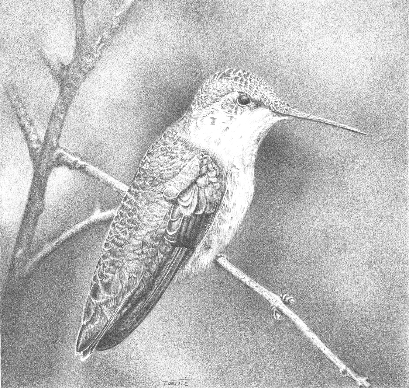 Visitor